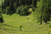 2015-07-01_1Pano-bei-Lacke (317).JPG